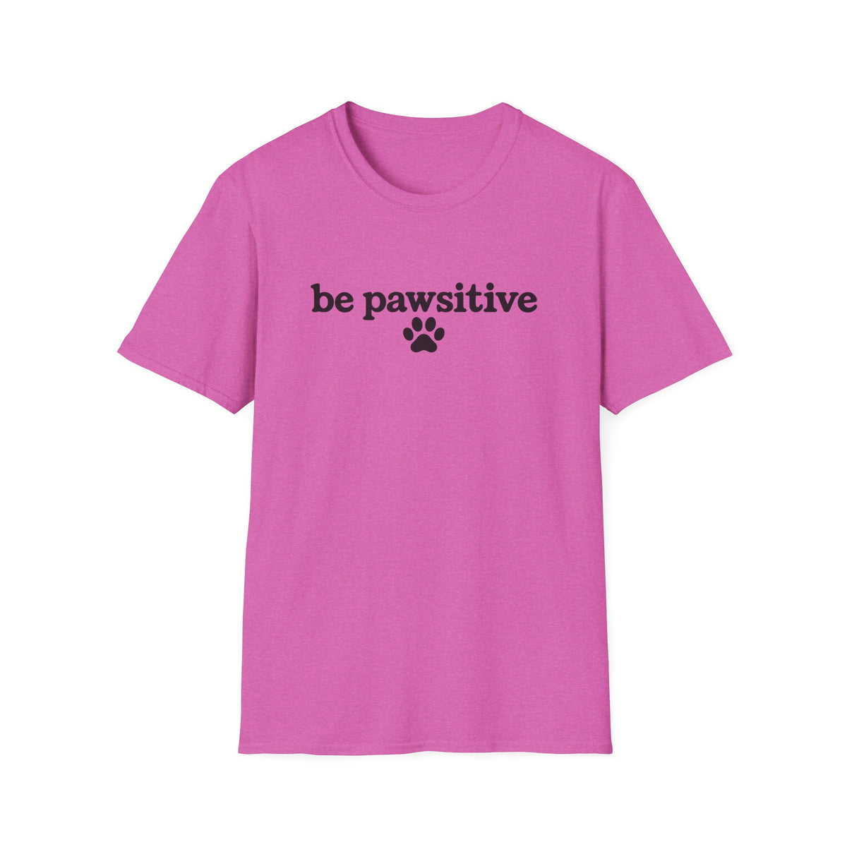 Be Pawsitive Doodle Play on Words