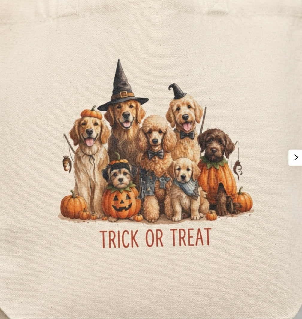 Trick or Treat Tote - Perfect for Candy Shopping